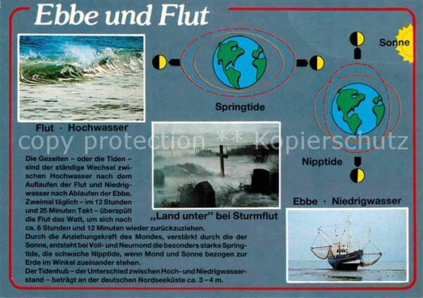 Wissenschaft Science Ebbe und Flut Springtide Nipptide