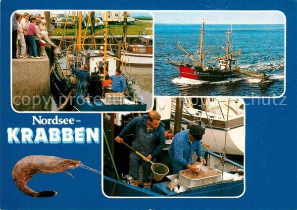 Fischerei Krabbenkutter SW 1 Elfriede Krabben Nor