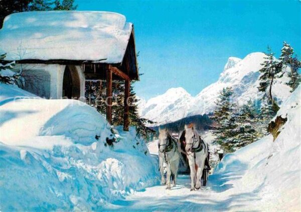 Pferdeschlitten Seefeld Tirol Schlittenfahrt Mösern Hoh