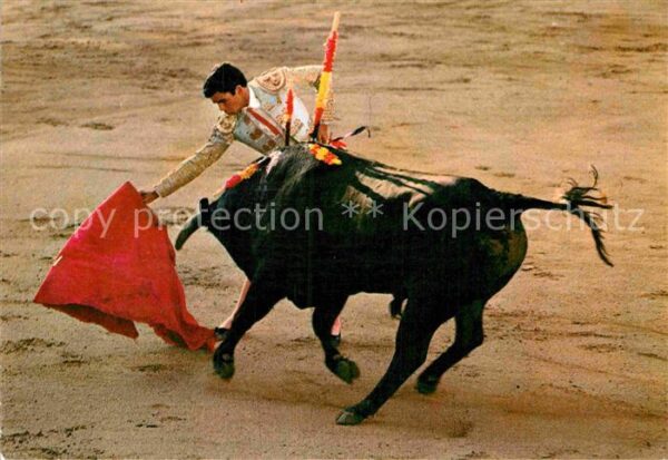 Stierkampf Toros Paquirri Natural con la Derecha