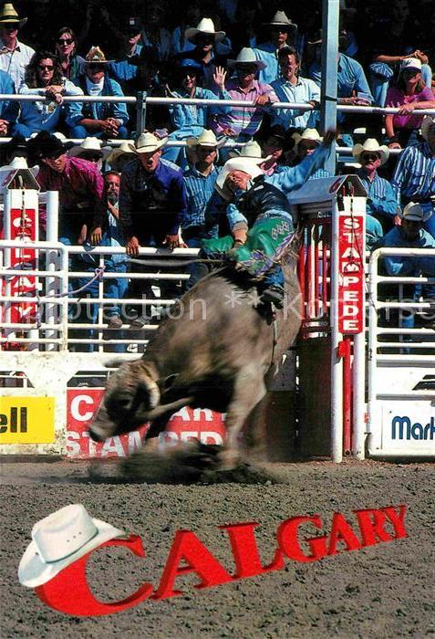 Cowboys Calgary Stampede Alberta Canada
