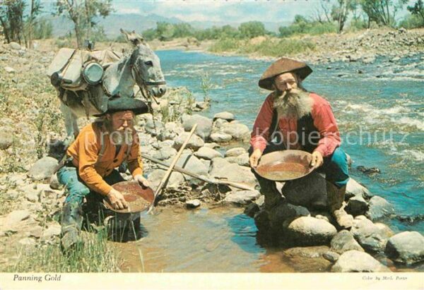 Esel Tiere Panning Gold Norden California