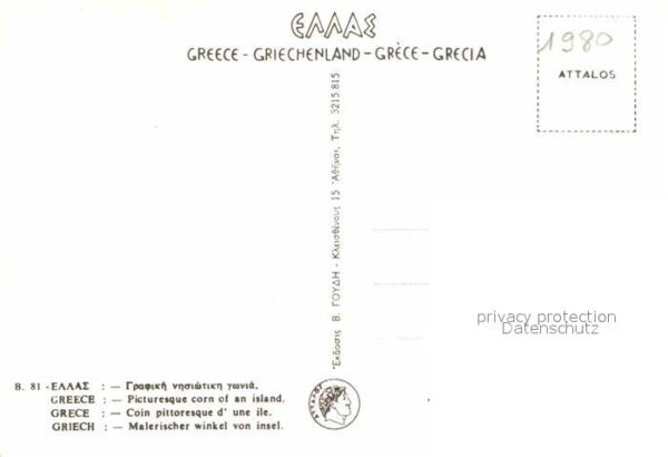 Esel Tiere Griechenland – Bild 2