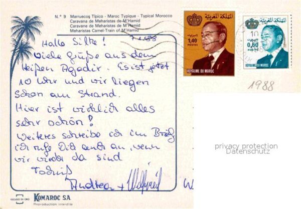Kamel  Camel Chameau Maroc Caravane de Meharistas de M'Hamid – Bild 2
