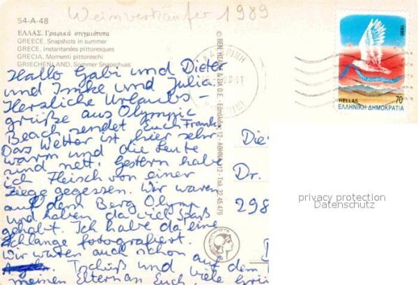 Esel Tiere Griechenland – Bild 2