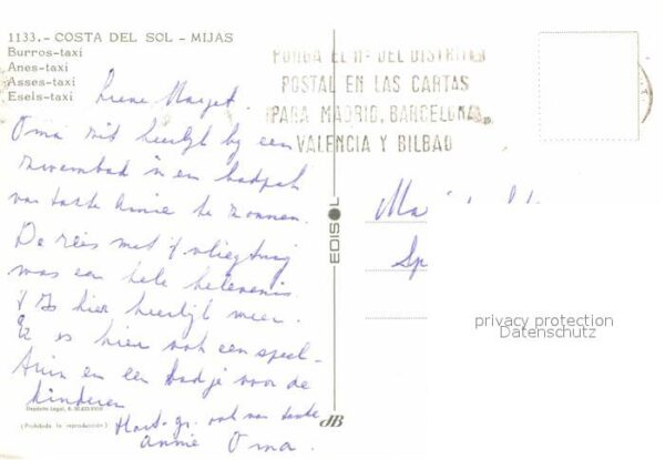 Esel Tiere Burros-Taxi Costa del Sol Mijas – Bild 2