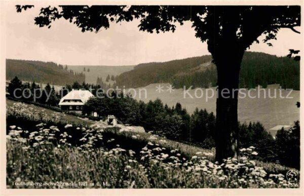 Todtnauberg Bergwiesen Alter Bauernhof Schwarzwald