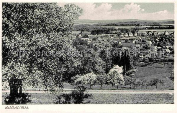 Waldbroel Panorama Baumblüte