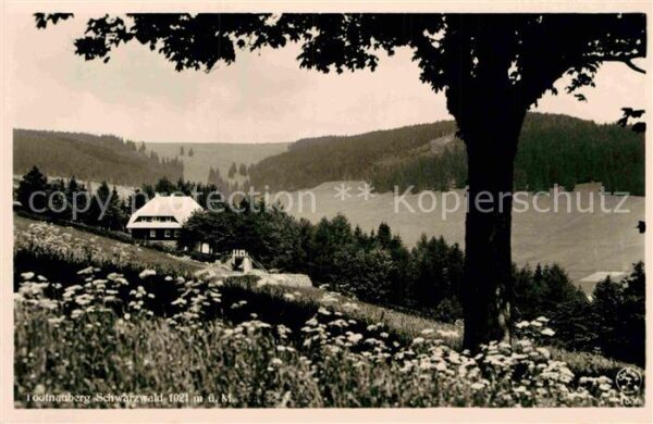 Todtnauberg Bergwiesen Alter Bauernhof Schwarzwald