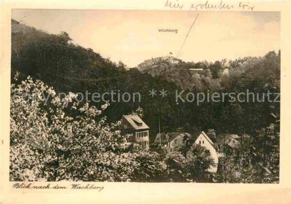 Saupsdorf Blick nach dem Wachberg Berggasthof