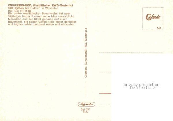 Sythen Prickingshof Westfälischer EWG Musterho – Bild 2