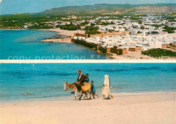 Hammamet Panorama Küstenstadt Esel Lasttier