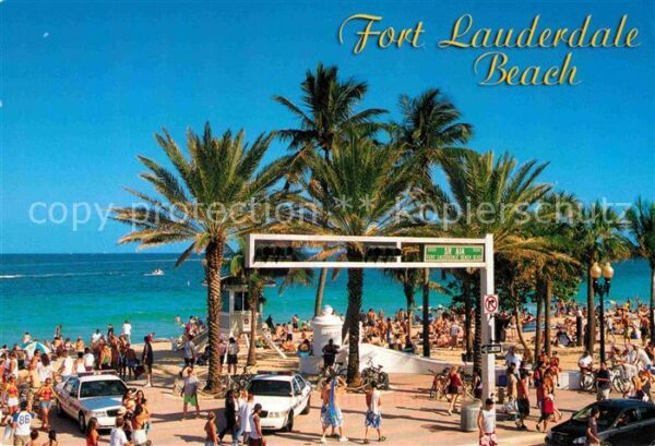 Fort Lauderdale Beach Palm trees