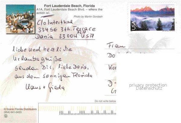 Fort Lauderdale Beach Palm trees – Bild 2