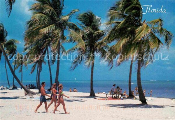 Florida US-State Beautiful beaches palm trees