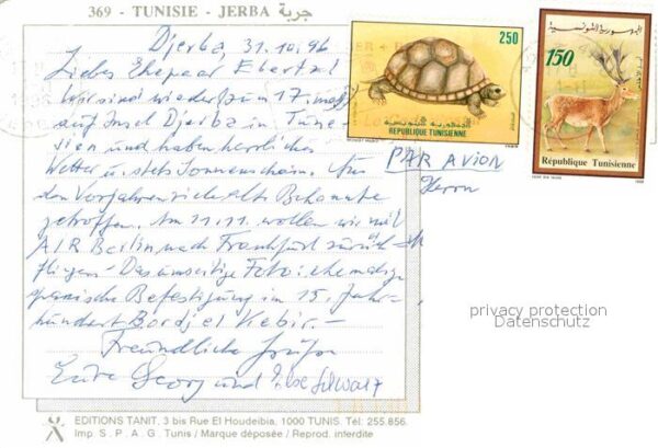 Jerba Fischer – Bild 2