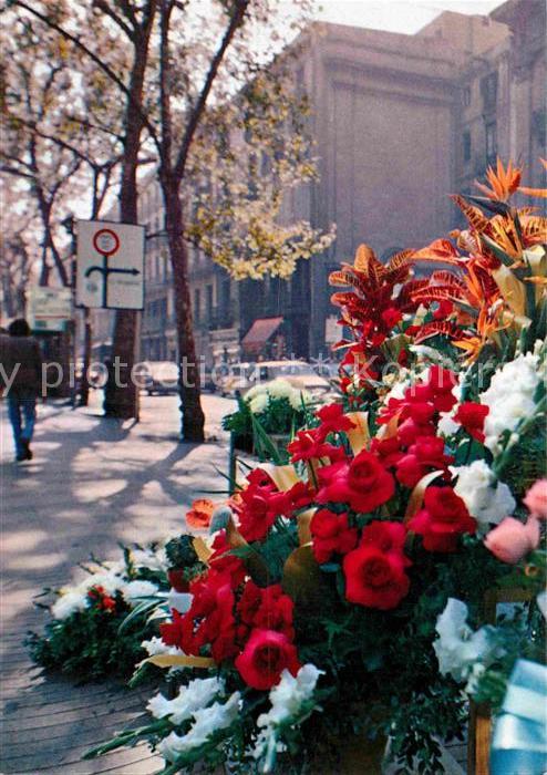 Barcelona Cataluna La Rambla de las Flores