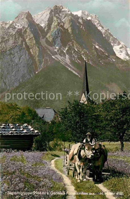 Garmisch-Partenkirchen Ochsenkarren Blick zur Zugspitze Wetter