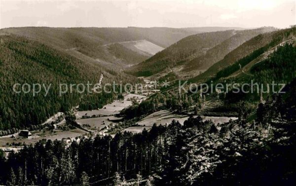 Wildbad Schwarzwald Panorama Blick vom Sommerberg ins Enzta