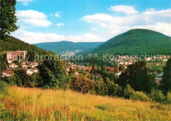 Bad Herrenalb Panorama Kurort Schwarzwald