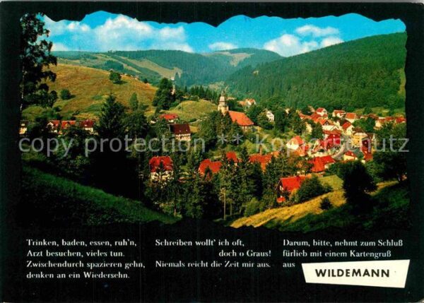 Wildemann Panorama Klein Tirol im Oberharz Bergst