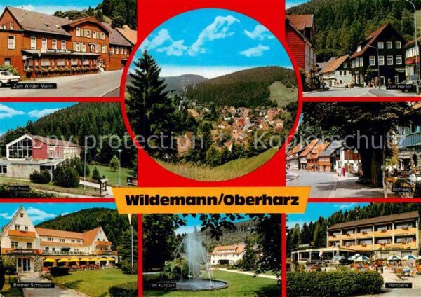 Wildemann Hotel Restaurant Kurhaus Kurpark Spring