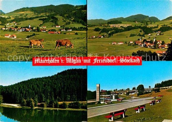Maierhoefen Allgaeu Landschaftspanorama Viehweide Kühe See