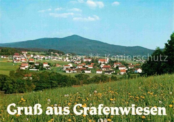 Grafenwiesen Panorama Erholungsort Blumenwiese
