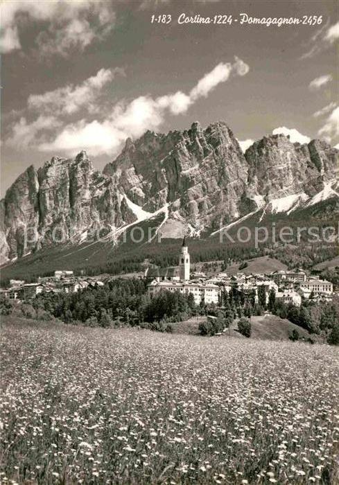 Cortina d Ampezzo Pomogagnon Bergwiesen Dolomiten