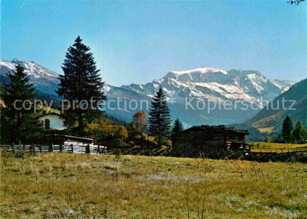 Rauris Hochaar im Rauriser Tal