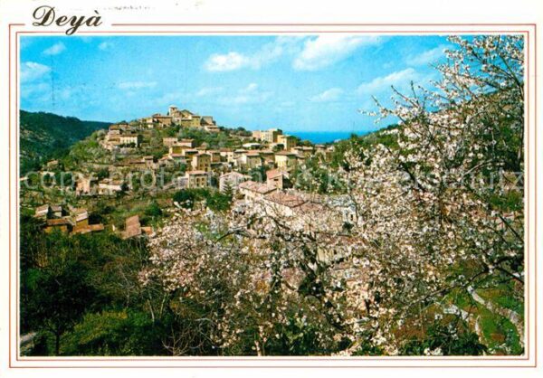 Deya Almendros en flor