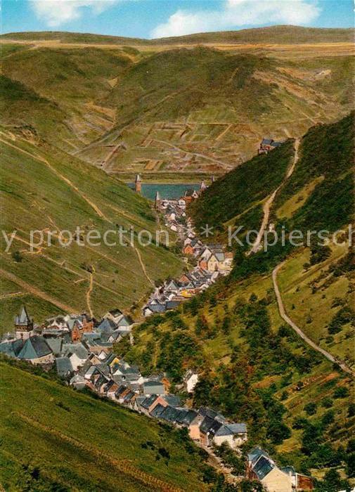 Bacharach Rhein Panorama Steeger Tal