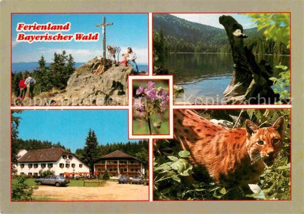 Grafenau Niederbayern Gasthaus Pension Einkehr Kieblmühle Rac