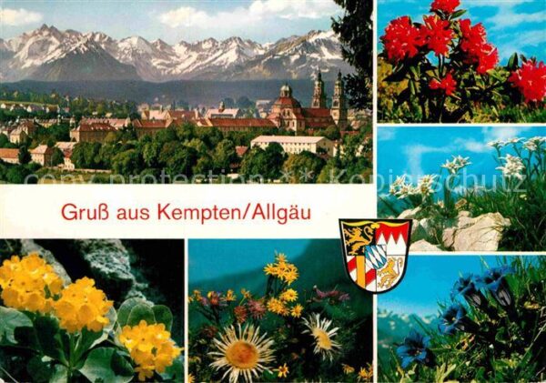 Kempten Allgaeu Stadtpanorama Alpenblick Alpenflora Wap