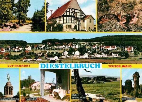 Diestelbruch Gesamtansicht Waldpartie Rehkitze Herma