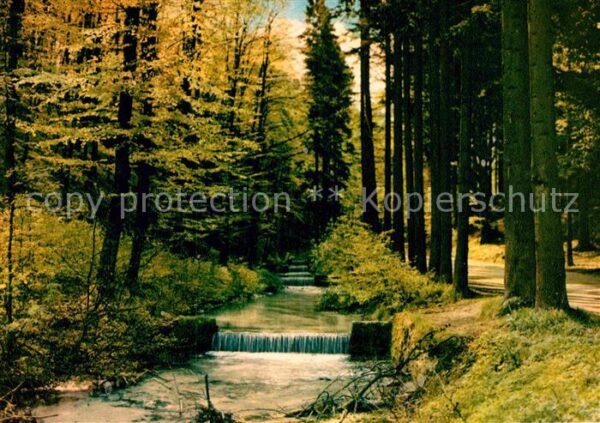 Berlebeck Berlebecker Quellen Wasserfall Waldpart