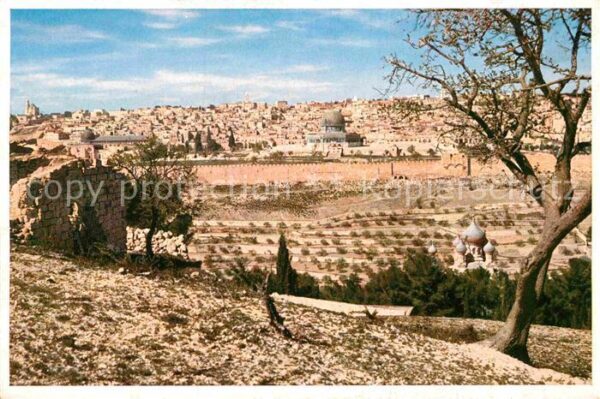 Jerusalem Yerushalayim Ölberg