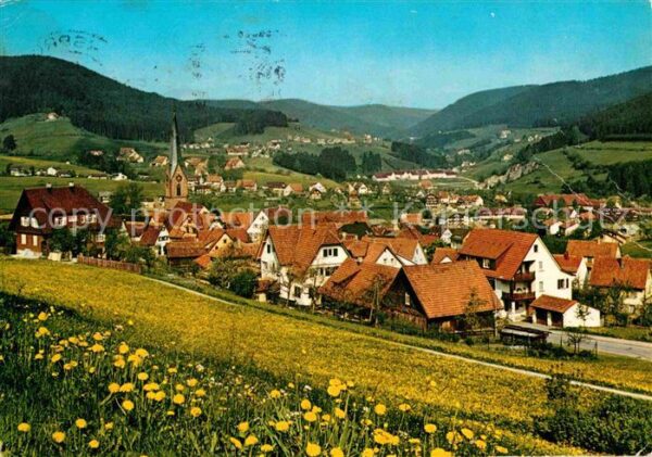 Baiersbronn Schwarzwald Panorama