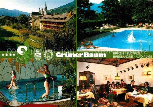 Brixen Suedtirol Grüner Baum