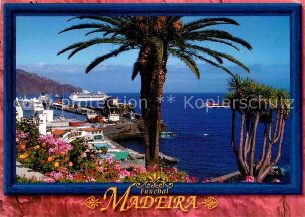 Madeira Portugal Porto do Funchal Parque de Santa Catari