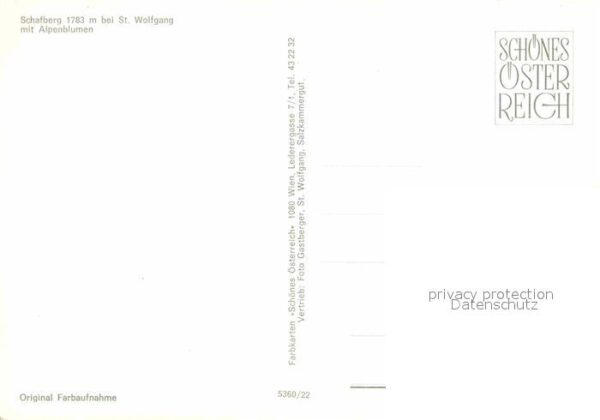 Schafberg Salzkammergut Bergrestaurant Alpenblumen – Bild 2
