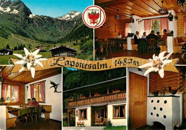 Gschnitz Tirol Laponesalm Panorama Details