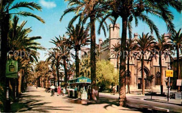 Palma de Mallorca Sagrera Allee und Börse