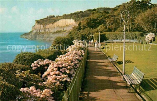 Head Waters Promenade