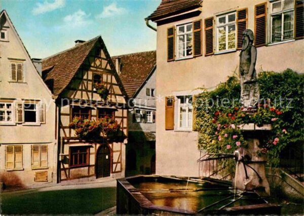Marbach Neckar Schillers Geburtshaus Wilder Mann Brunn