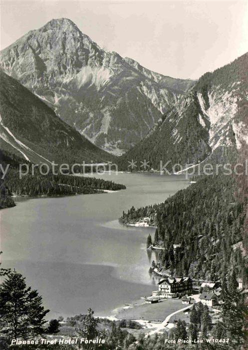 Plansee Fliegeraufnahme Hotel Forelle