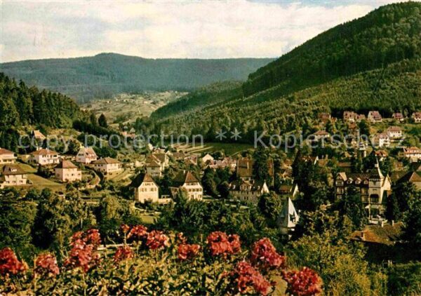 Bad Herrenalb Panorama