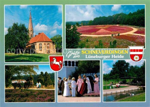 Schneverdingen Kirche Heidelandschaft Pferdekutschfahr