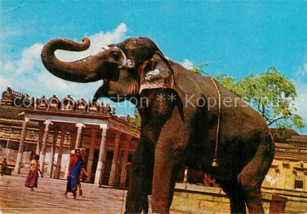 Trichy Srirangam Temple