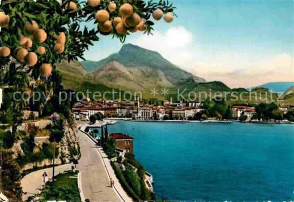Riva del Garda Panorama